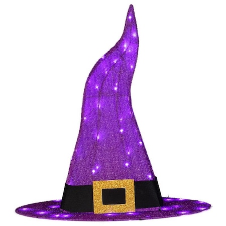 Gemmy Gemmy Purple 50 ct 30 in. LED Prelit Witch Hat Yard Decor 550540
